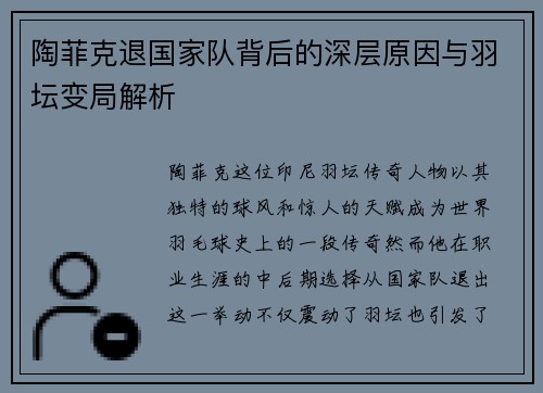 陶菲克退国家队背后的深层原因与羽坛变局解析