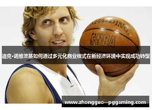 迪克·诺维茨基如何通过多元化商业模式在新经济环境中实现成功转型